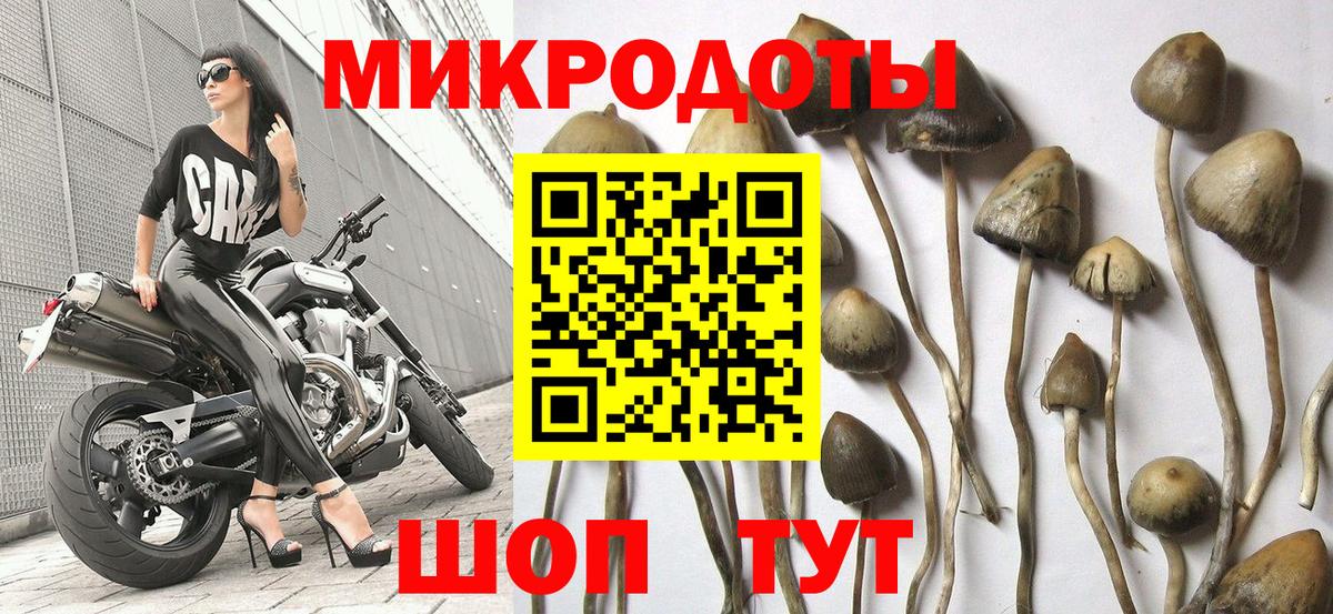 Карабулак  Псилоцибиновые грибы прущие грибы  Псилоцибиновые грибы Magic Shrooms  Вход с VPN 